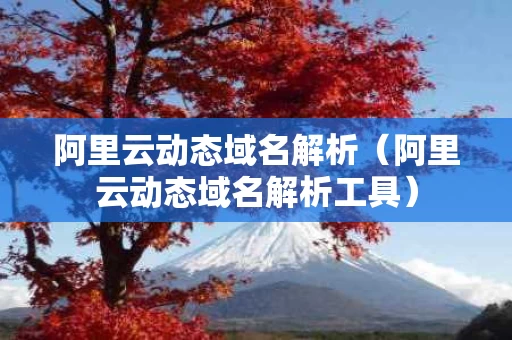 阿里云动态域名解析（阿里云动态域名解析工具）