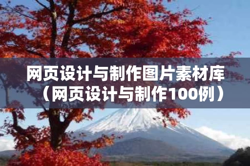 网页设计与制作图片素材库（网页设计与制作100例）