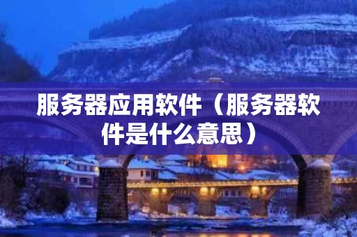 服务器应用软件（服务器软件是什么意思）