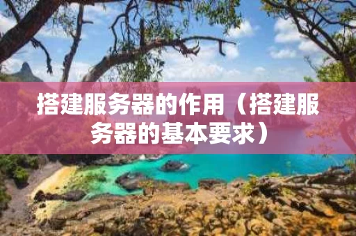 搭建服务器的作用（搭建服务器的基本要求）