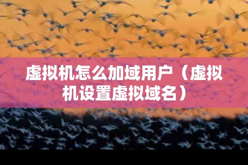 虚拟机怎么加域用户（虚拟机设置虚拟域名）