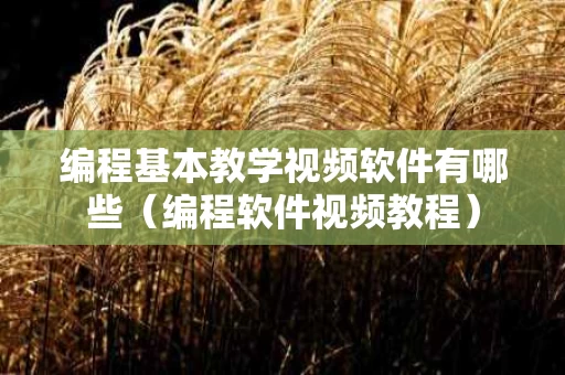 编程基本教学视频软件有哪些（编程软件视频教程）
