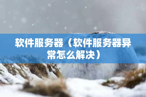 软件服务器（软件服务器异常怎么解决）