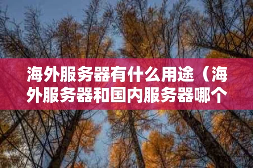 海外服务器有什么用途（海外服务器和国内服务器哪个更安全）