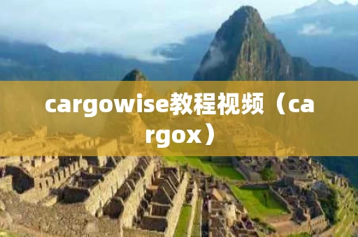 cargowise教程视频（cargox）