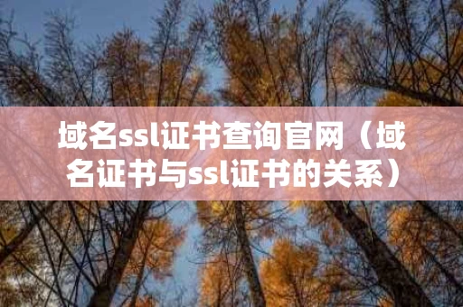 域名ssl证书查询官网（域名证书与ssl证书的关系）