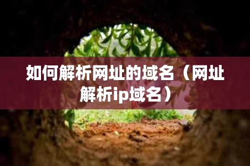 如何解析网址的域名（网址解析ip域名）