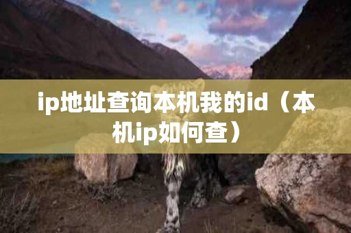 ip地址查询本机我的id（本机ip如何查）