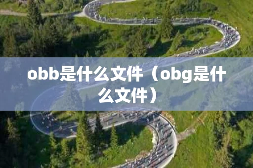 obb是什么文件（obg是什么文件）