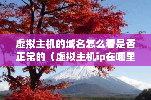 虚拟主机的域名怎么看是否正常的（虚拟主机ip在哪里看）