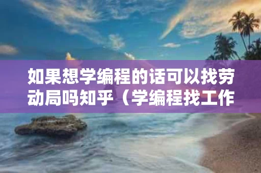 如果想学编程的话可以找劳动局吗知乎（学编程找工作最低要什么水平）