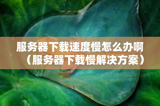 服务器下载速度慢怎么办啊（服务器下载慢解决方案）