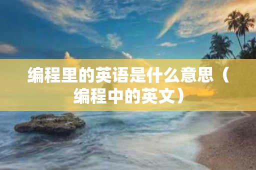 编程里的英语是什么意思（编程中的英文）