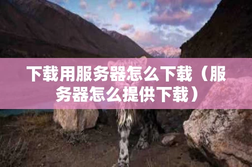 下载用服务器怎么下载（服务器怎么提供下载）