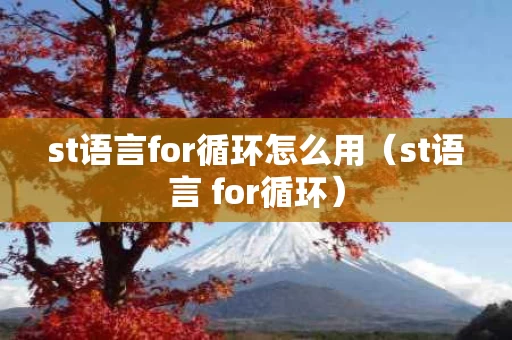st语言for循环怎么用（st语言 for循环）