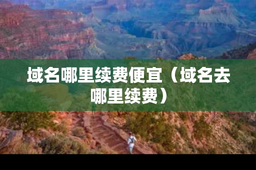 域名哪里续费便宜（域名去哪里续费）