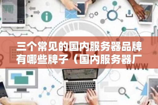 三个常见的国内服务器品牌有哪些牌子（国内服务器厂商排名）