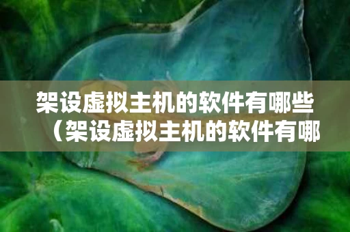 架设虚拟主机的软件有哪些（架设虚拟主机的软件有哪些好用）