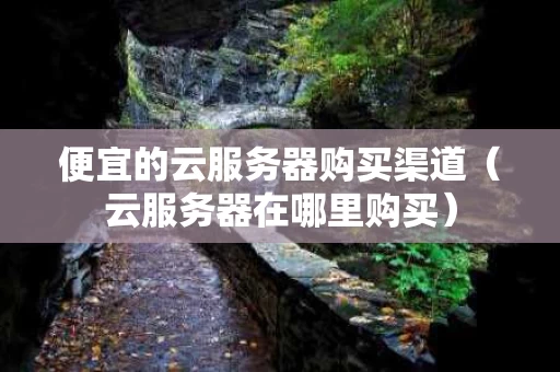 便宜的云服务器购买渠道（云服务器在哪里购买）