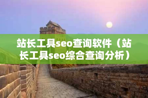 站长工具seo查询软件（站长工具seo综合查询分析）