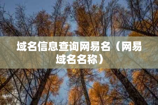 域名信息查询网易名（网易域名名称）