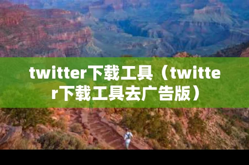 twitter下载工具（twitter下载工具去广告版）