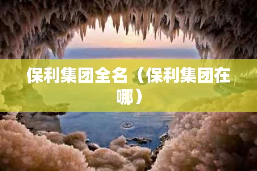 保利集团全名（保利集团在哪）